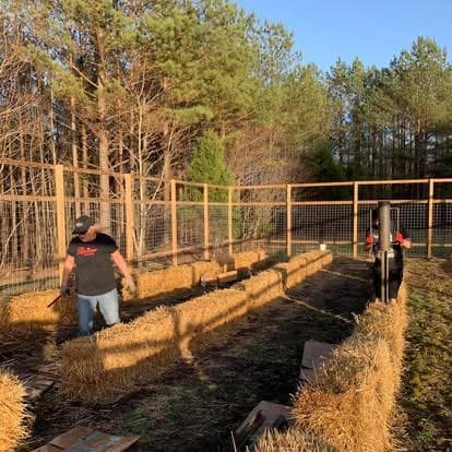 Concetta placing straw bales at golden hour