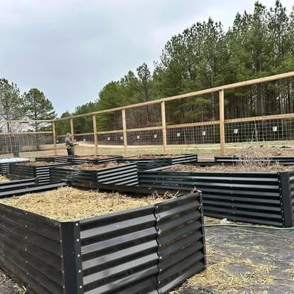 Raised beds filled and ready for planting
