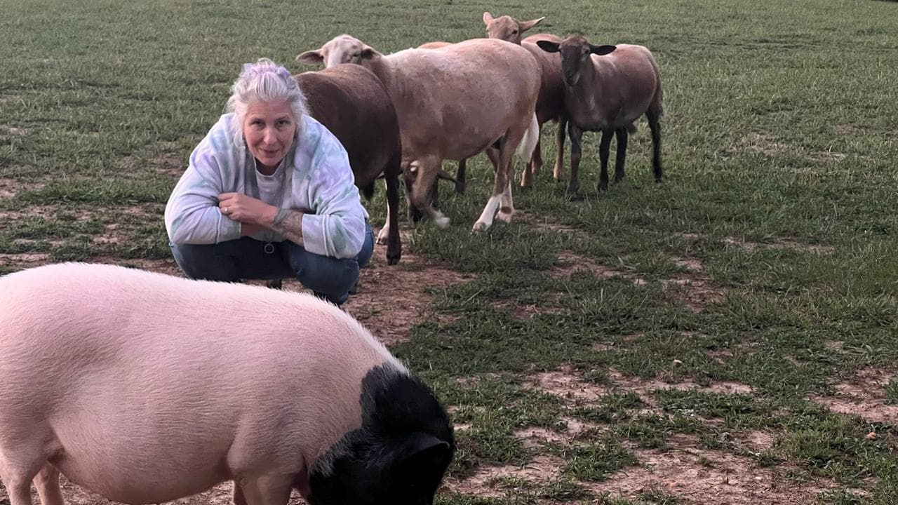 Concetta in the field with sheep at evening light