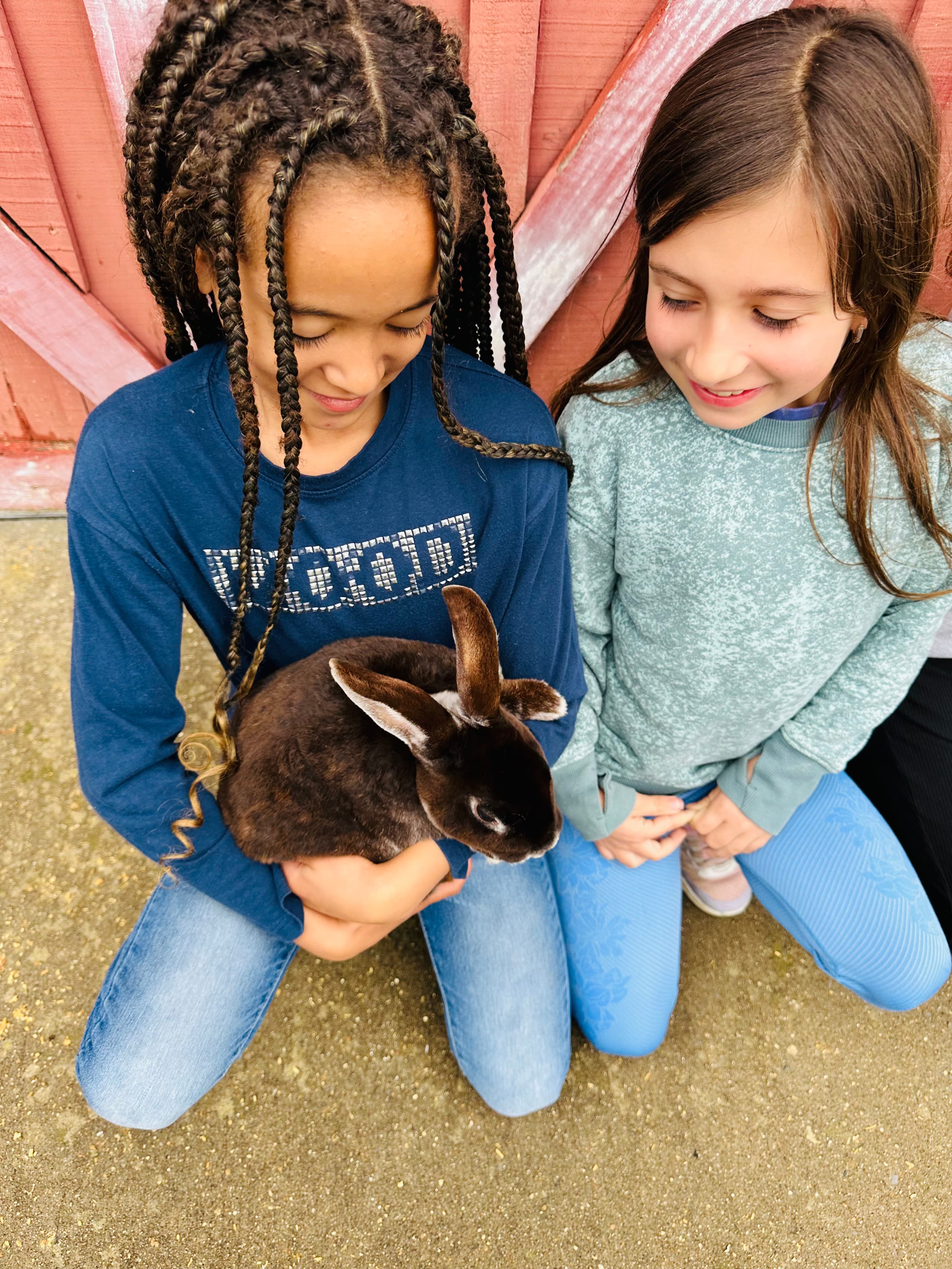 Children holding a black rabbit