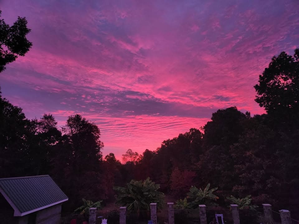 Rustic Roots vendor image