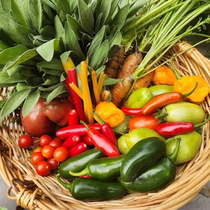 Rustic Roots profile image